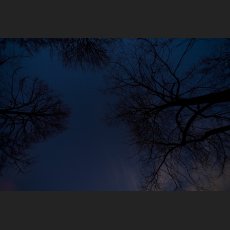 IMG_5401_Himmel_1200.jpg