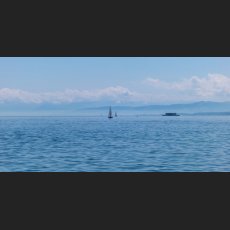 IMG_4400_Bodensee.jpg