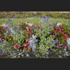 IMG_9029_Schloss_Dachau_Garten_Blumenbeet.jpg