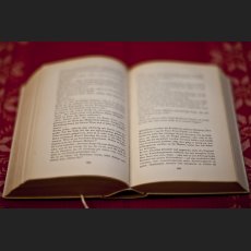 IMG_4405_Buch.jpg