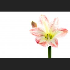 420A3688.jpg