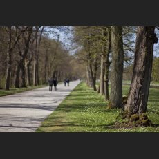 IMG_6683_Weg.jpg