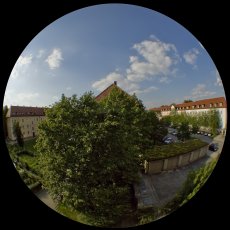 IMG_8544_Hof_Inderstorferstr_crop.jpg