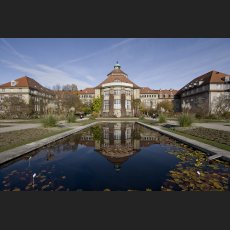 IMG_3702_Botanischer_Garten_1200.jpg